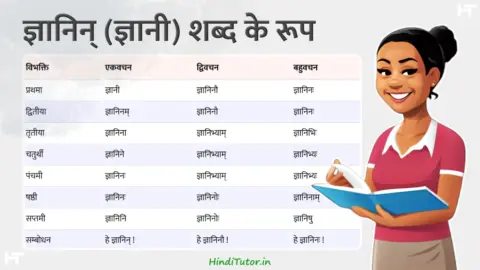Gyanin, Gyani Shabd Roop in Sanskrit