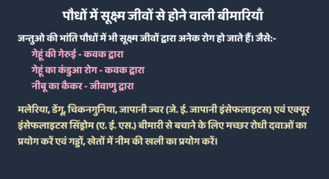 Paudhon me sookshm jeevon se hone vali beemariyan