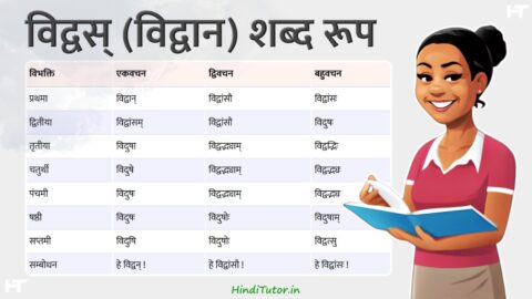 Vidvas, Vidwan Shabd Roop in Sanskrit